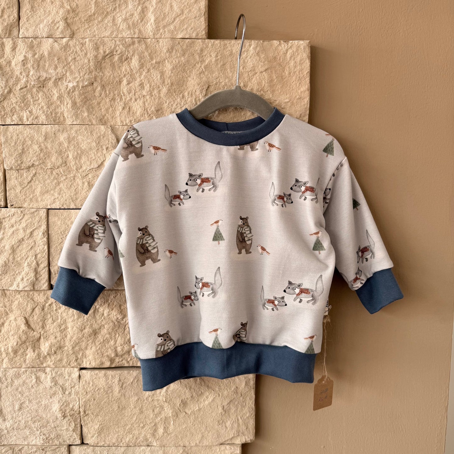Sweater Winterfreunde Gr. 68