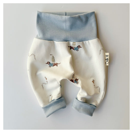 Babyhose kleiner Dachs